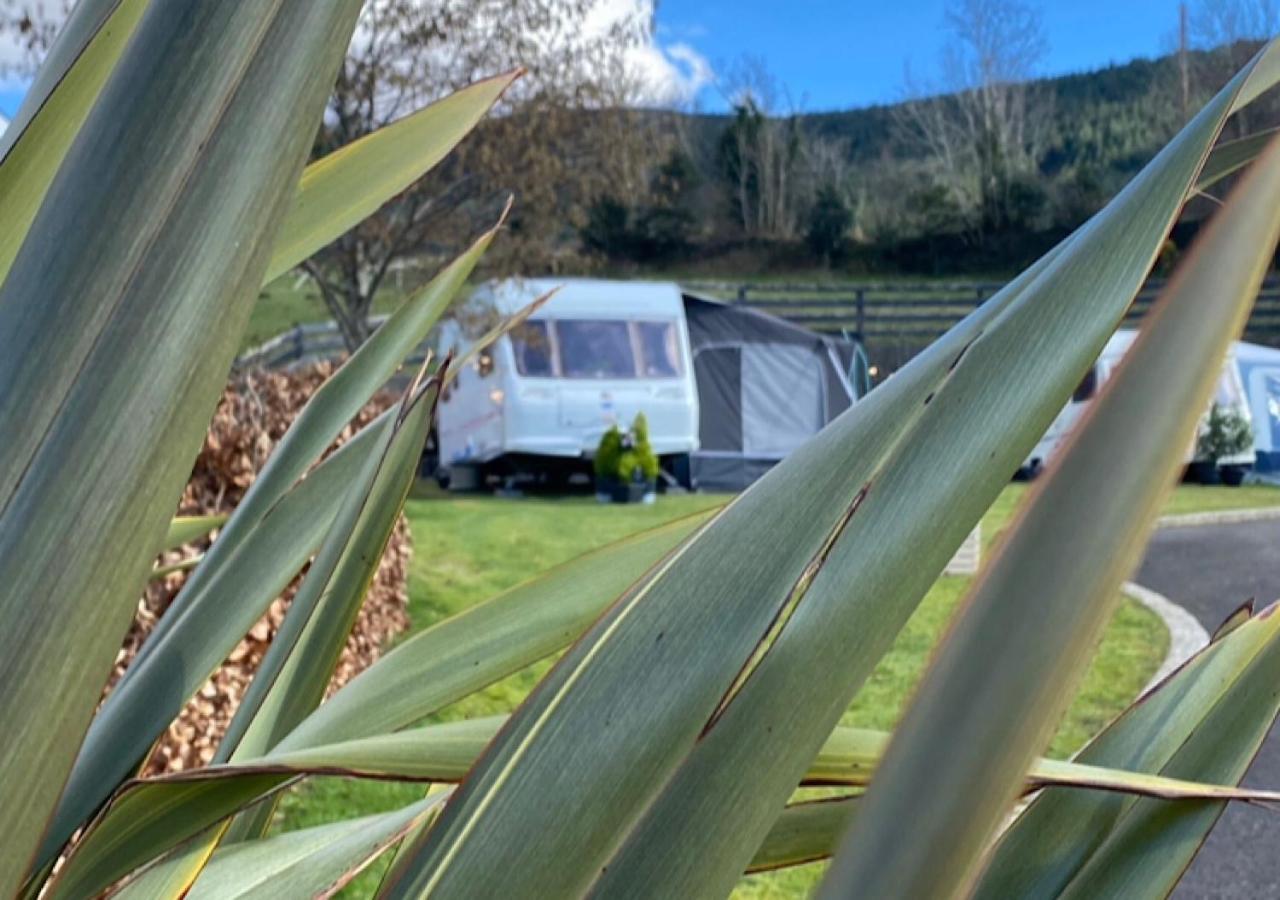 Rostrevor Valley Caravans With Private Hot Tub Exteriör bild